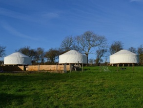 Kids Love Yurts Caravan Park, фото 4