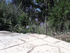 Onirozo Villa, фото 22 Onirozo Villa, фото 22