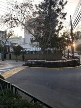 Las Camelias cerca de Costanera Center, фото 9 Las Camelias cerca de Costanera Center, фото 9