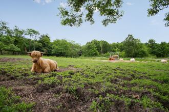 Lehnsgaard Ranch, фото 17