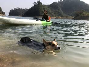 Wastone, фото 29 Wastone, фото 29