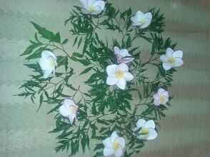 Ocean View, фото 17 Ocean View, фото 17