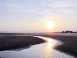 Fliport Garden, фото 37