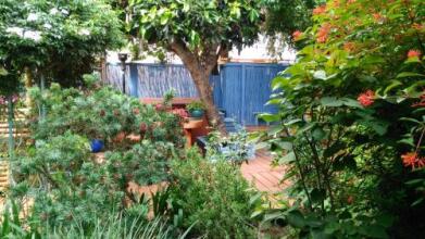 Gan Hapaamonim, фото 4