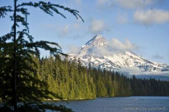 Courtyard By Marriott Portland Downtown/Convention Center, фото 10 Courtyard By Marriott Portland Downtown/Convention Center, фото 10