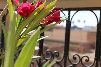 Riad Awinati, фото 10 Riad Awinati, фото 10