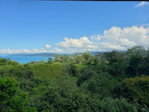 Drake Bay Greenleaf, фото 23