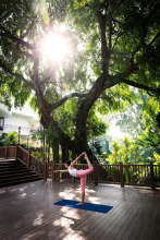 Shangri-la Hotel Singapore, фото 42 Shangri-la Hotel Singapore, фото 42