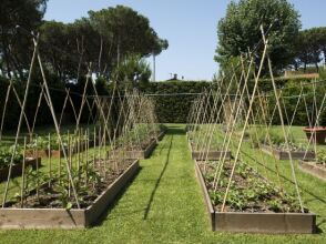 Hermitage Hotel & Resort, фото 42