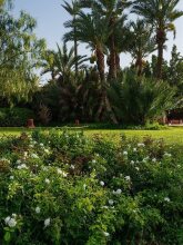 Palais Mehdi, фото 34 Palais Mehdi, фото 34