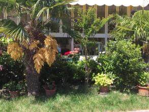 Hotel Halifax, фото 11