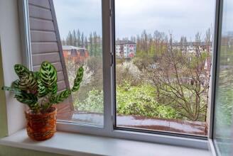 Green-Hotel, фото 6