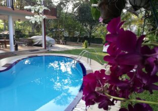 Haus Berlin Bentota, фото 34