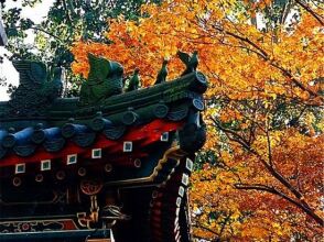 Friendship Grand Beijing, фото 35 Friendship Grand Beijing, фото 35