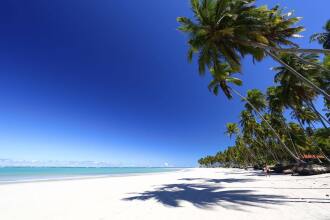 Pontal Dos Carneiros Beach Bungalows, фото 25