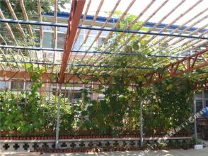 Beijing Xiuli Farmstay, фото 5 Beijing Xiuli Farmstay, фото 5