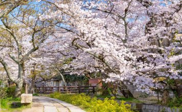 Daiichi Grand Hostel Kyoto, фото 29