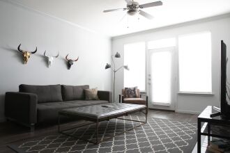 WanderJaunt Luxe Dt Austin Apts, фото 8 WanderJaunt Luxe Dt Austin Apts, фото 8