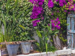 Eftalya 128a Hotel, фото 50 Eftalya 128a Hotel, фото 50