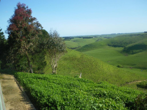 Cobden Crest Cottages, фото 18