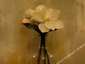 Hotel Monaguillo de Getsemani, фото 44 Hotel Monaguillo de Getsemani, фото 44