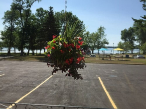 Park Place Motel, фото 41