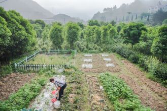 Wastone, фото 9 Wastone, фото 9