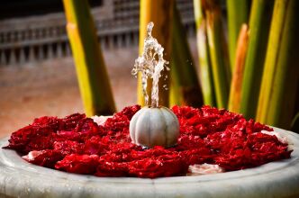 Riad Ilayka, фото 30 Riad Ilayka, фото 30