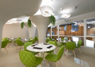 Director El Golf, фото 22 Director El Golf, фото 22