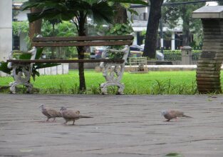 Menteng House, фото 31