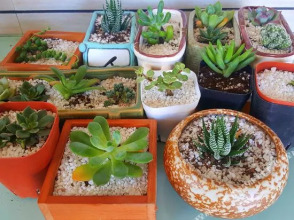 Wanqing Hotel, фото 27