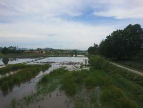 District Eight, фото 36