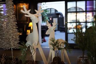 First Kong Frederik, фото 29 First Kong Frederik, фото 29