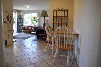 Leafy 1 Bedroom City Oasis With Pool and Terrace