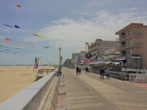 Americana Motor Inn, фото 31 Americana Motor Inn, фото 31