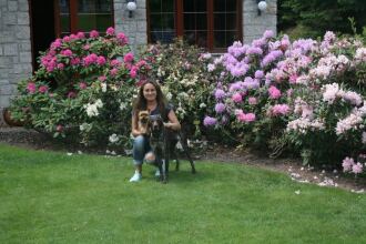 Hotel Martin, фото 38 Hotel Martin, фото 38