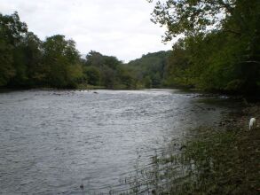 Memory Lane Bed and Breakfast, фото 19