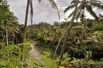 Bali Spirit, фото 35