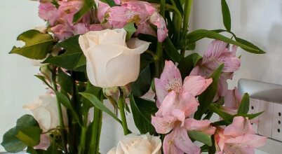 Hotel Capital Bellet, фото 42 Hotel Capital Bellet, фото 42