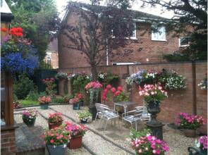 Green Gables Guest House, фото 8 Green Gables Guest House, фото 8