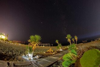 Safak Beach Hotel, фото 22