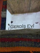 Gerdis Evi, фото 19