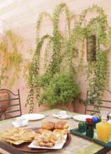 Riad Dar Radya, фото 9 Riad Dar Radya, фото 9