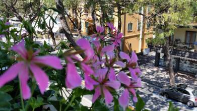 Danubio Hotel, фото 42