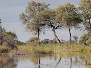 Nkasa Lupala Tented Lodge, фото 22