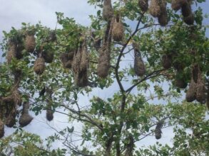 Girassol Praia Hotel, фото 36