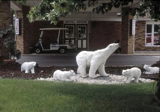 Ivy Rose Motor Inn, фото 25