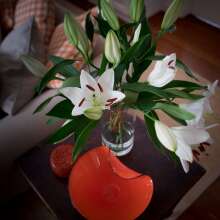 The Kinninmont House, фото 15 The Kinninmont House, фото 15