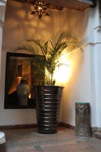 Riad Terra Bahia, фото 20 Riad Terra Bahia, фото 20