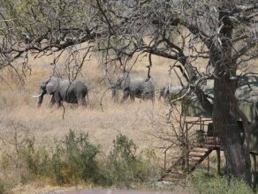 Nkasa Lupala Tented Lodge, фото 40